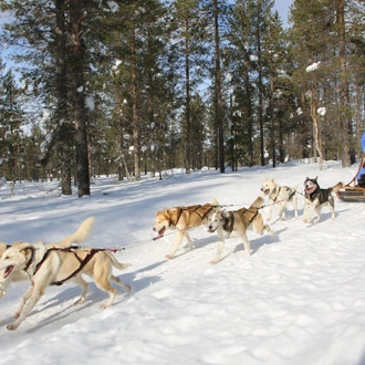 tourhub | Collette | The Northern Lights of Finland  