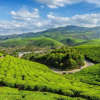 tourhub | On The Go Tours | Captivating Kerala - 8 days 