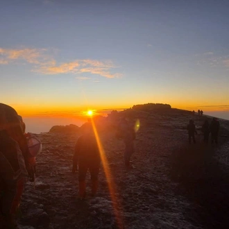 tourhub | Horizon Seeker Adventure | 8 days Kilimanjaro Climbing Lemosho route 