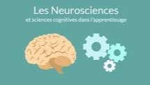 Représentation de la formation : Apports des neurosciences aux apprentissages et à la motivation