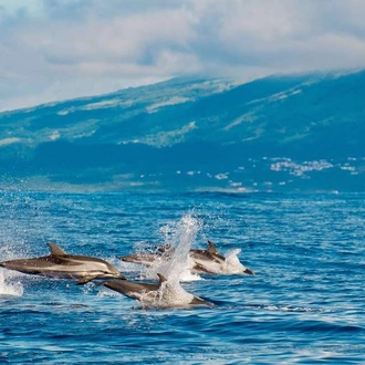 tourhub | Explore! | Walking in the Azores 