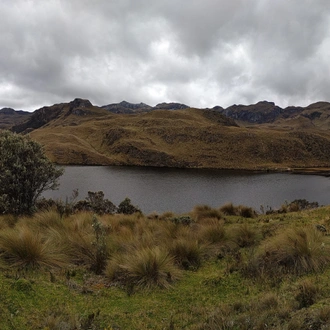 tourhub | Ecuador Wonders | Nature Mainland Ecuador Small Group Tour 