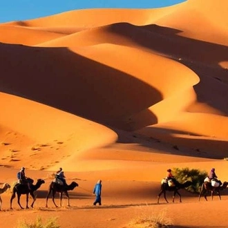 tourhub | Across Africa Tours Travel | 5 Days Sahara Express from Marrakech 