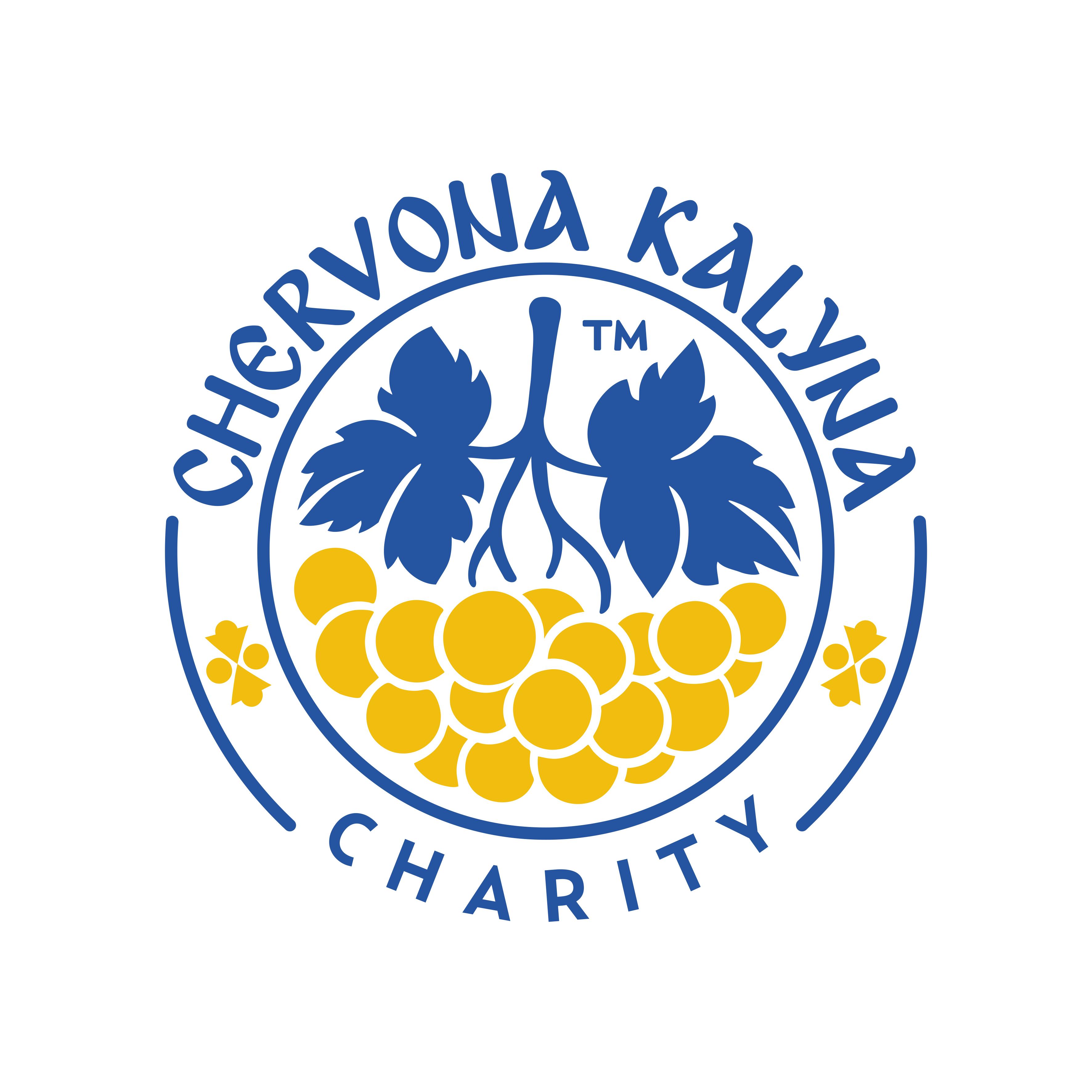 Chervona Kalyna Charity logo