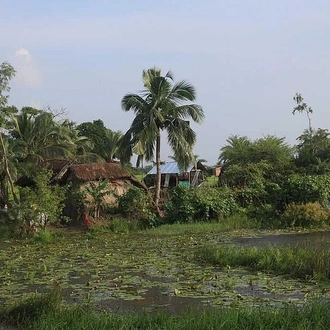 tourhub | Agora Voyages | Sunderban Mangrove Wetland - Tiger Reserve 