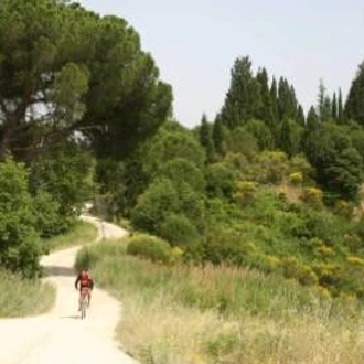 tourhub | Walkers' Britain | Cycle the Wine Regions of Tuscany 