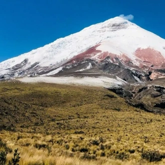 tourhub | Ecuador Galapagos Travels | 13 Days Andes and Amazon Journey 