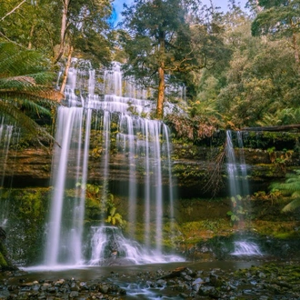 tourhub | Intrepid Travel | Walk Bruny Island & Tasmania's South West 