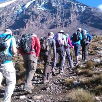 tourhub | Spider Tours And Safaris | 9 Days Kilimanjaro Climb Northern Circuit Route 