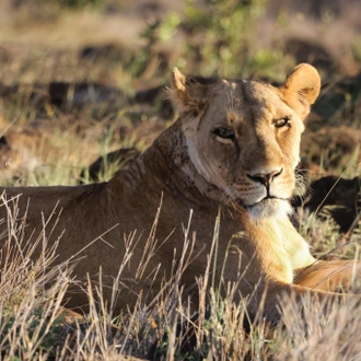 tourhub | Razan Safaris | The best 3 Days Small group Tanzania sharing (Budget) safari 