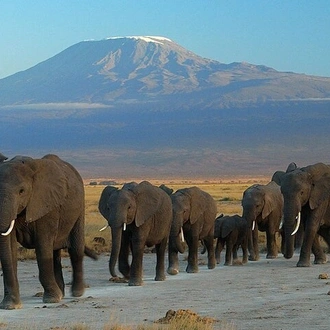tourhub | Gracepatt Ecotours Kenya | Overnight Amboseli National Park Safari  