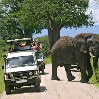 tourhub | Gracepatt Ecotours Kenya | 3-Days Maasai Mara Camping Safari on 4x4 Land Cruiser Jeep 