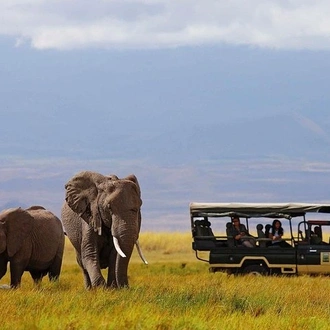 tourhub | Gracepatt Ecotours Kenya | 7 Days Samburu, Lake Naivasha & Masai Mara National Reserve  