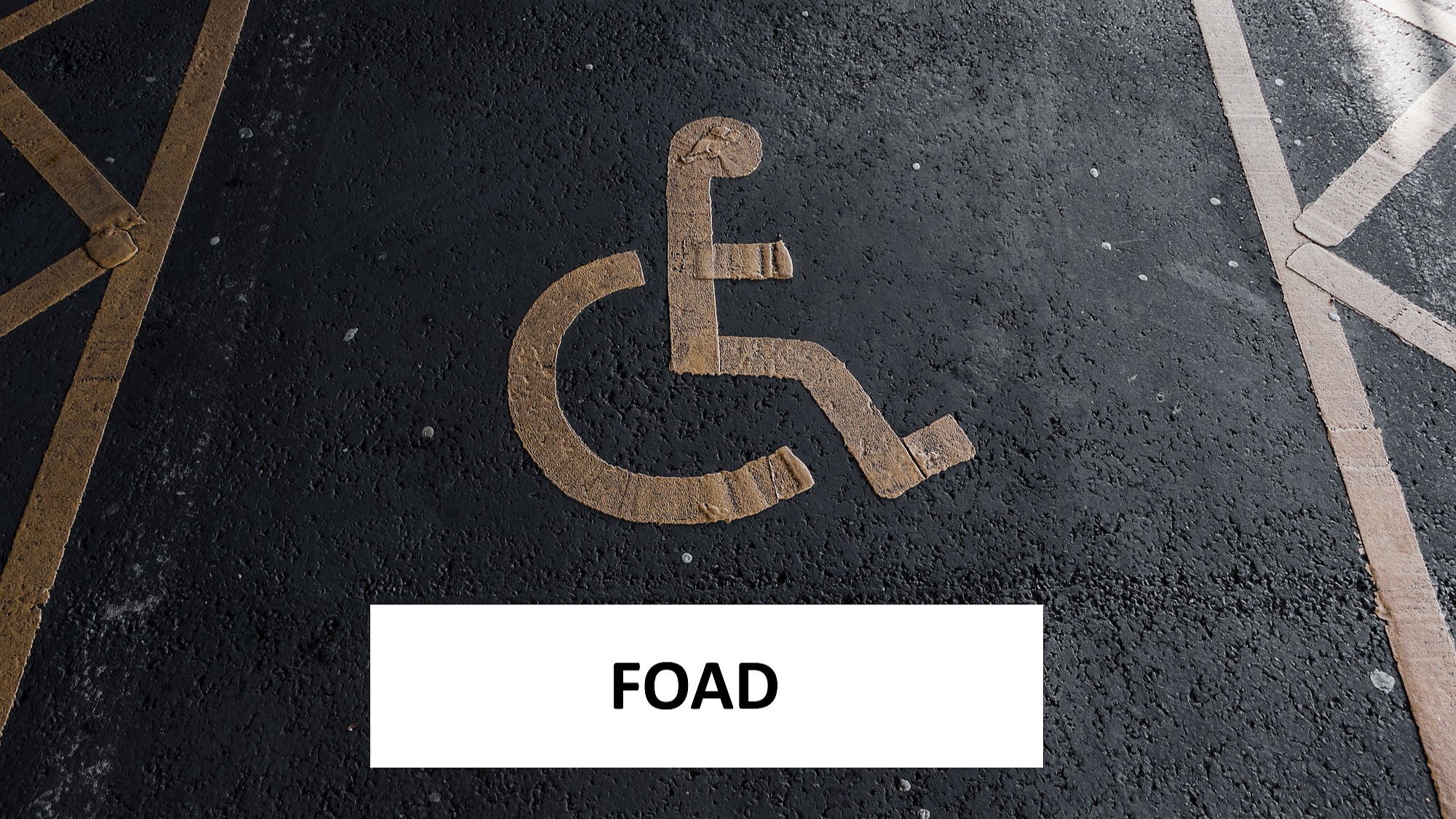 Représentation de la formation : CCS Handicap - FOAD
