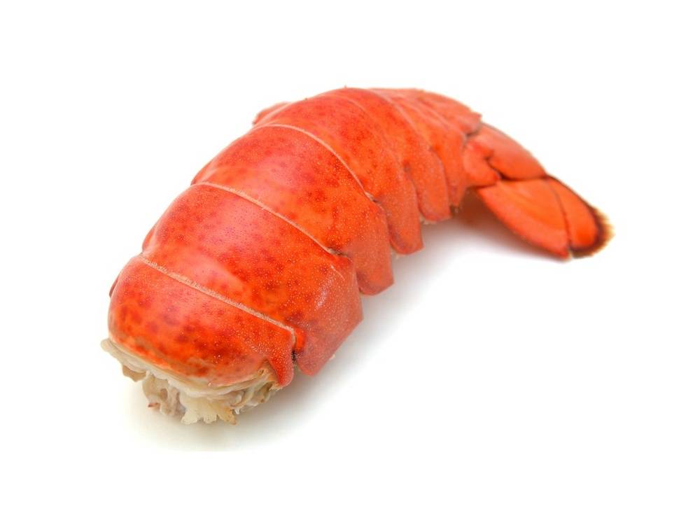 New England Lobster Tails