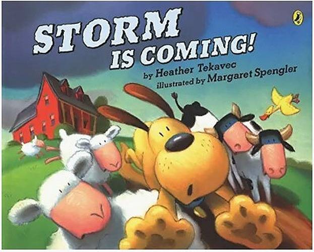 Storm is Coming! (Picture Book)