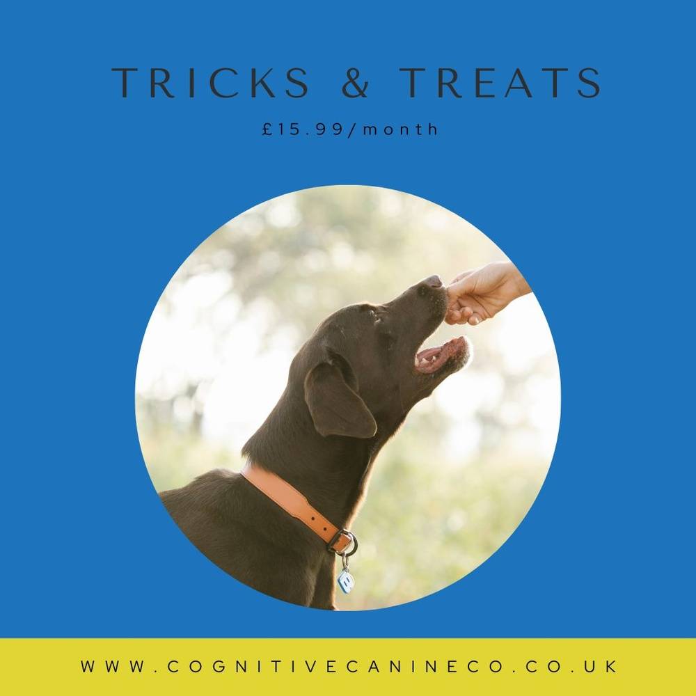 Tricks and Treats Subscription