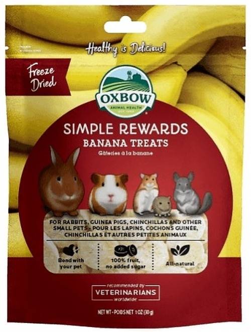 Simple Rewards Banana Treats