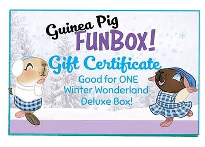 Winter Wonderland Guinea Pig FunBox Online Gift Certificate