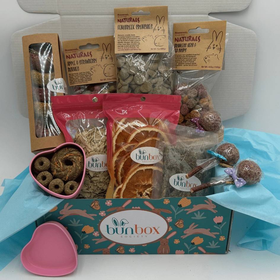 The Ultimate Treat Bundle for Bunnies