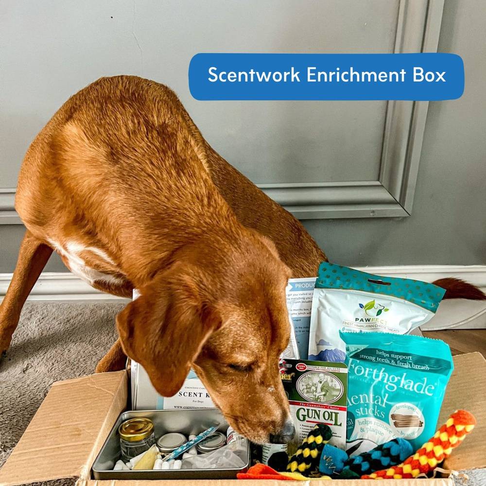 Scent Kit Enrichment Box
