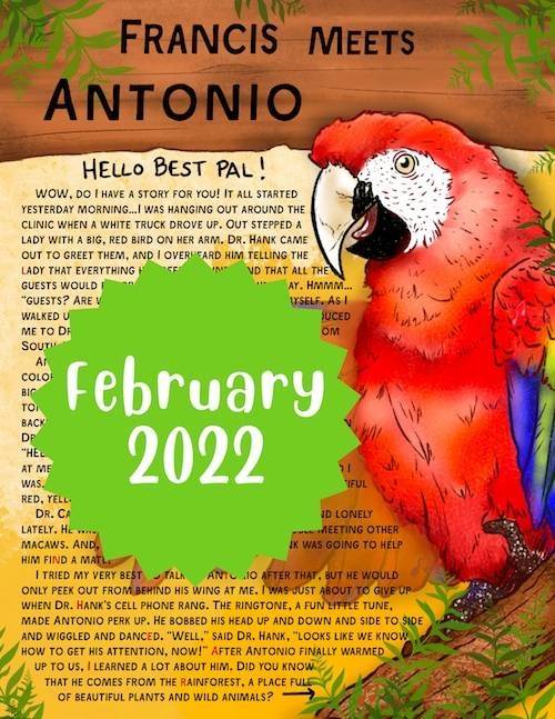 Antonio the Macaw