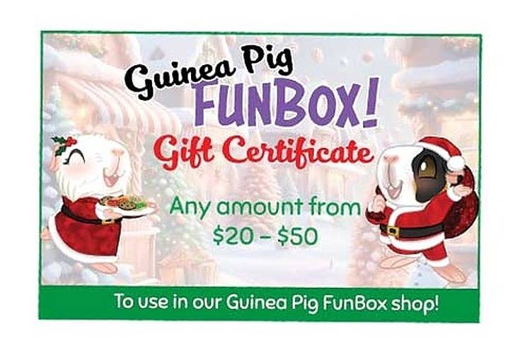 Guinea Pig FunBox FunBox Gift Certificate $20 to $50