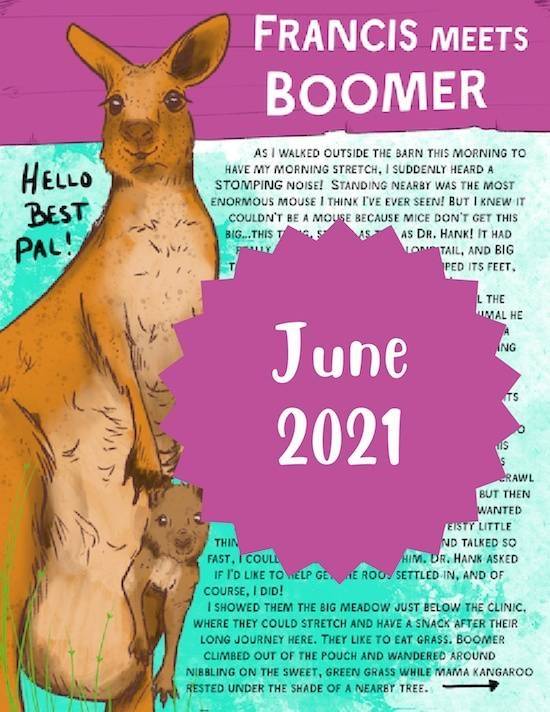 Boomer the Kangaroo