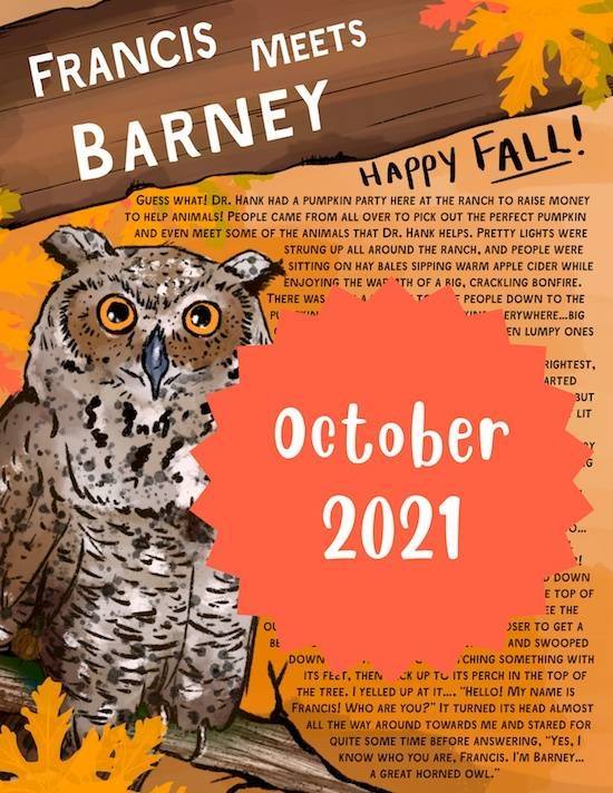 Barney the Great Horned Owl