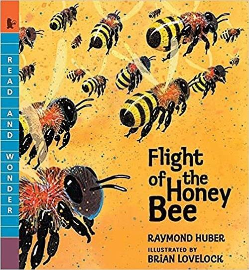 Flight of the Honey Bee (Picture Book)