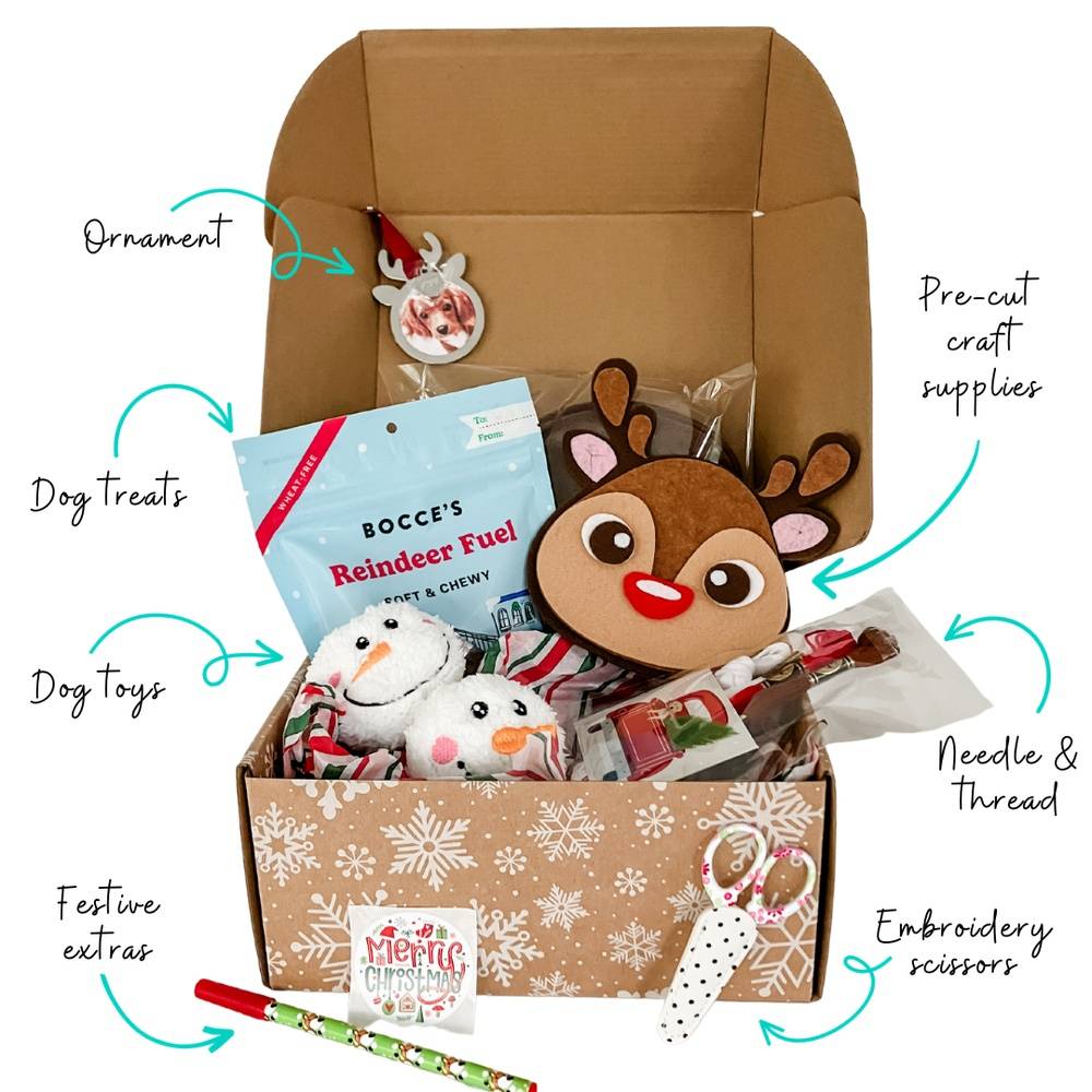 Holiday Snuffle Toy Gift Box
