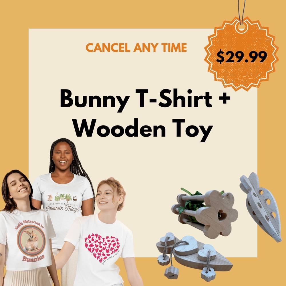 Bunny T-Shirt + Wooden Toy of the Month
