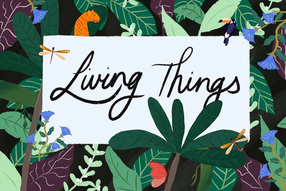 Living Things - Kindergarten - Grade 3