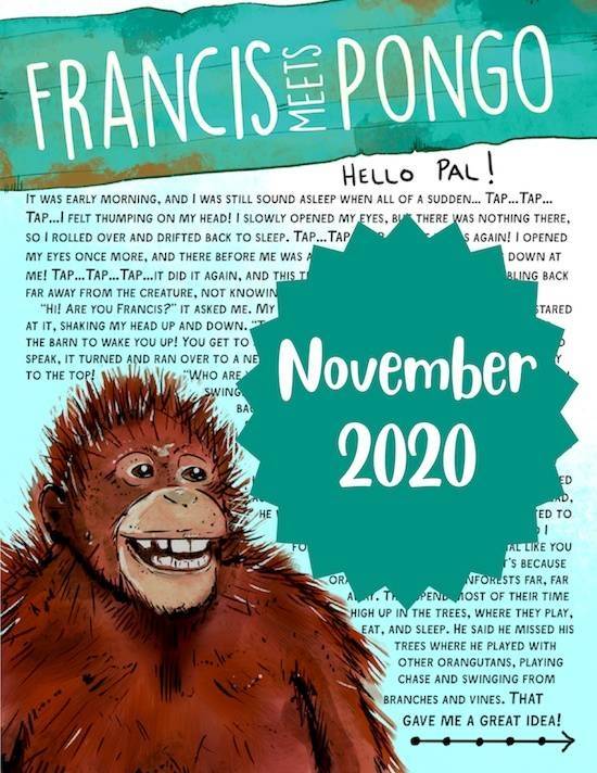 Pongo the Orangutan