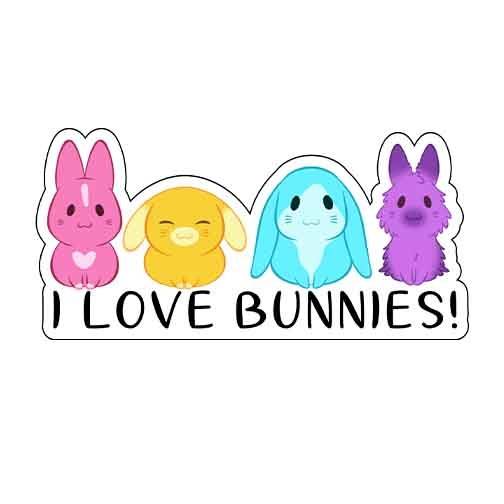 I Love Bunnies Magnet