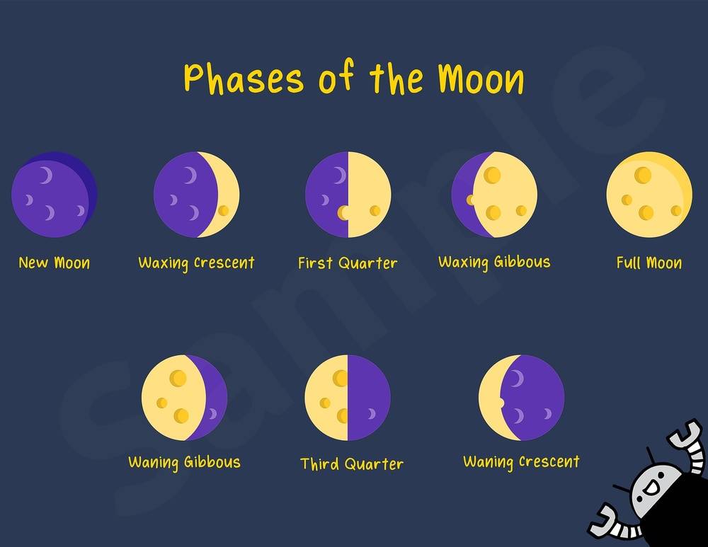 Phases of the Moon Landscape