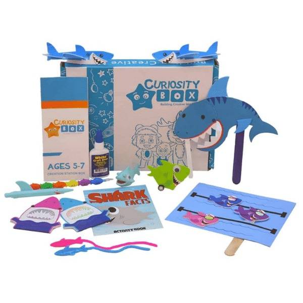 Shark Attack Craft & Activity Box