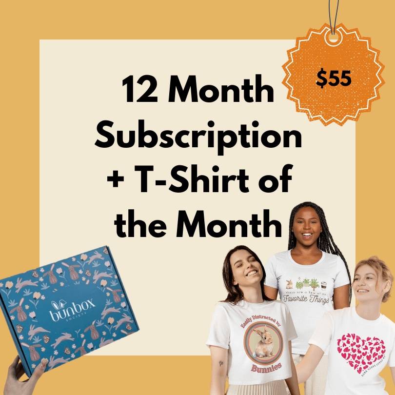 12 Month Bun Box Subscription + T-Shirt of the Month