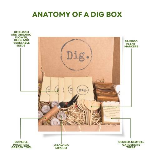 Dig. 3-month Subscription