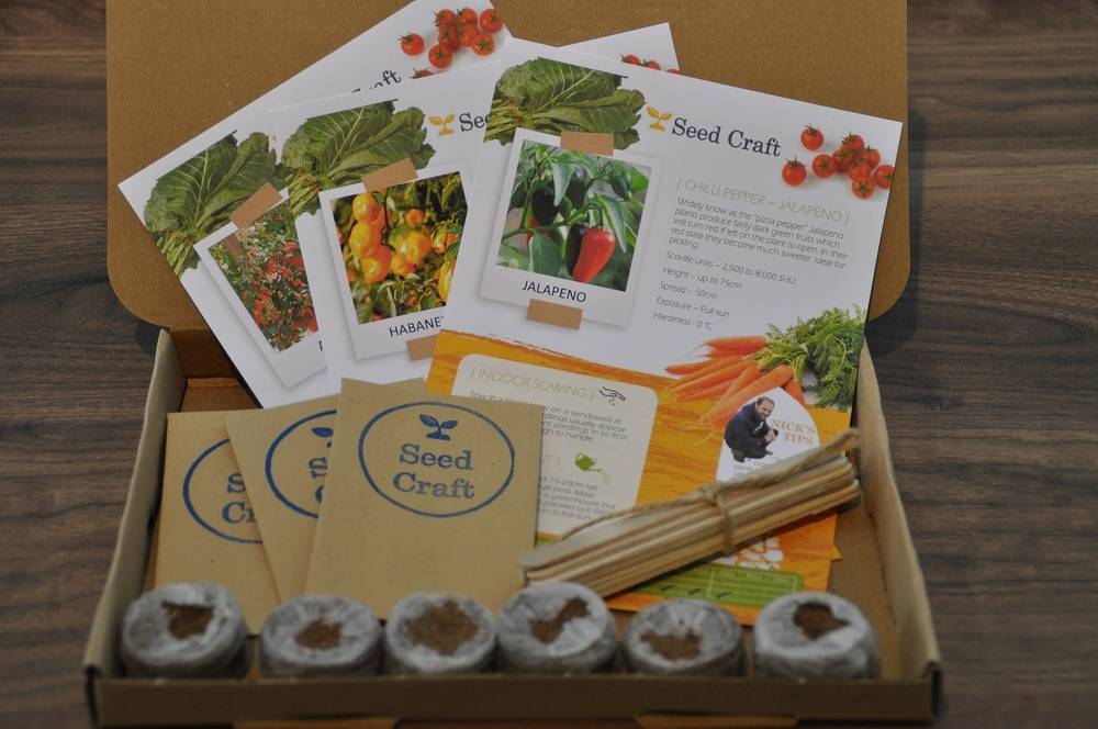Letterbox Chilli Seed Kit