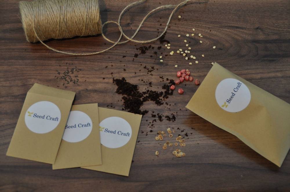 Seed Craft Subscription - Monthly