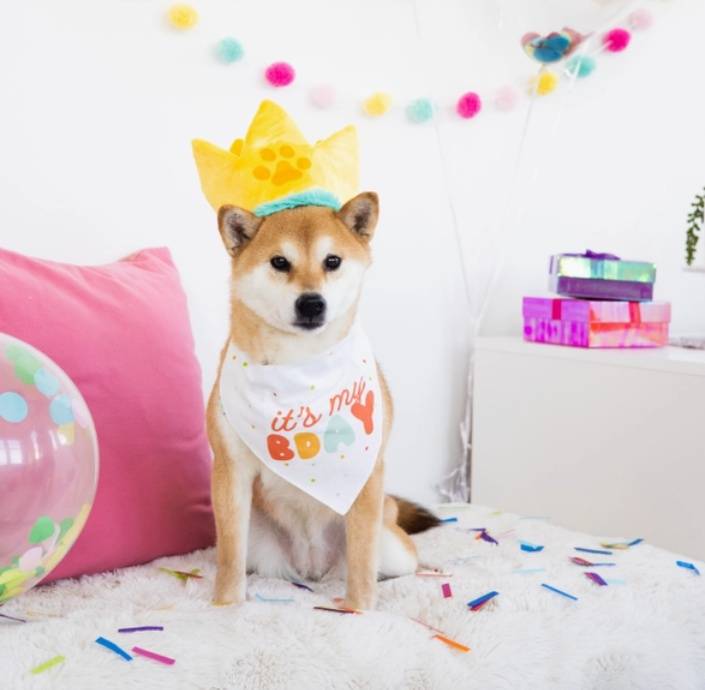 Dog Birthday Hat & Bandana Set