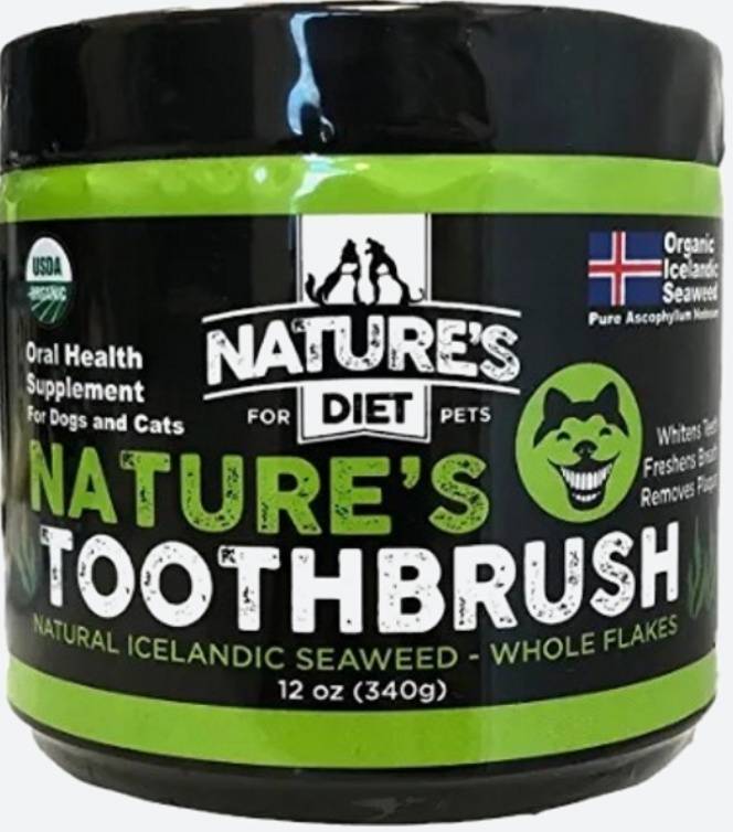 Nature's Toothbrush 12 Jar