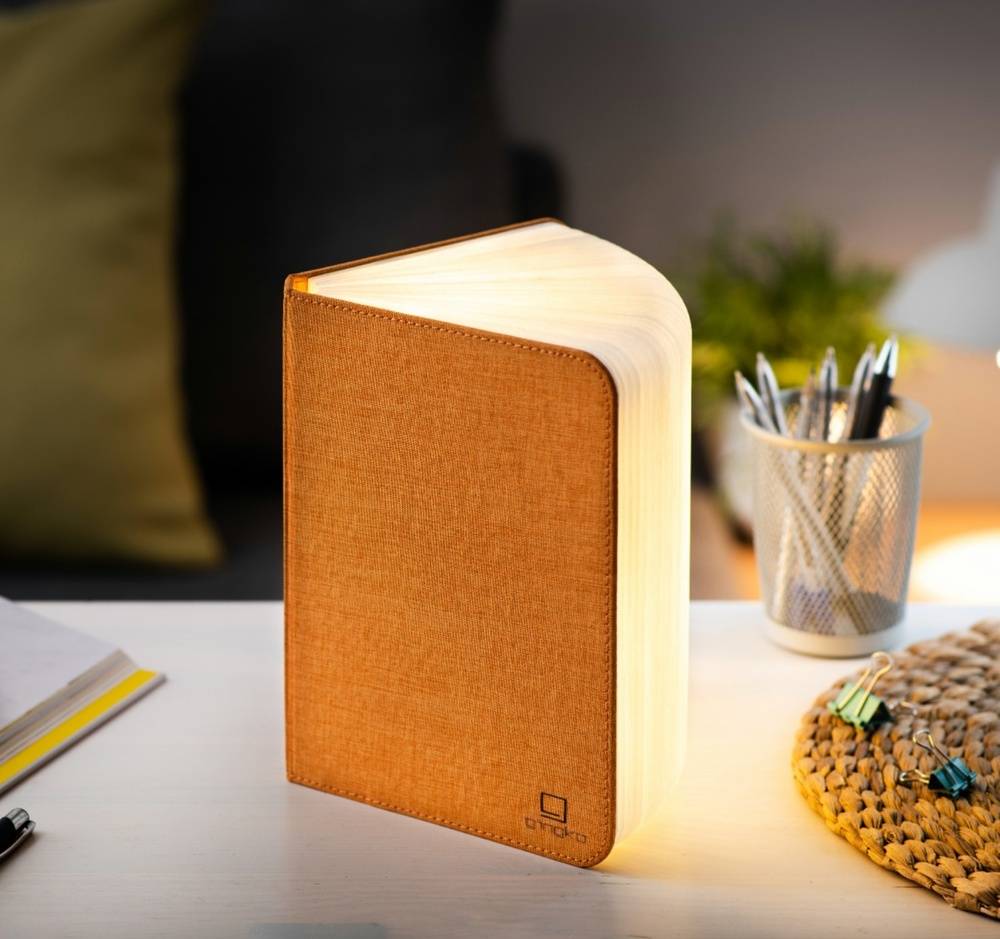 Mini Smart Book Light
