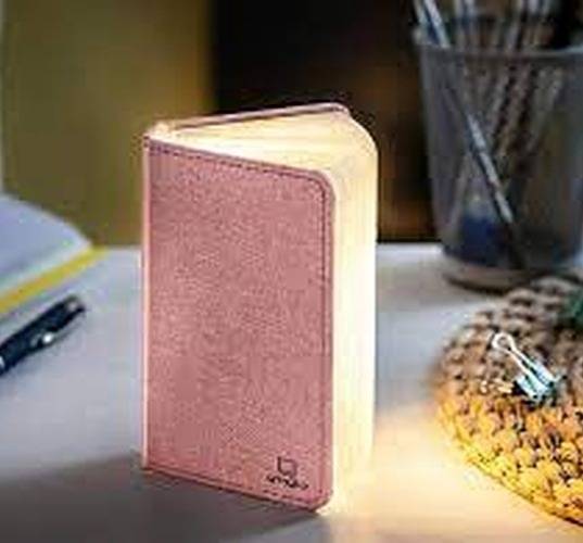 Mini Smart Book Light
