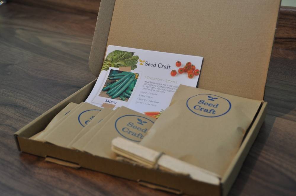 Letterbox Salad Seed Kit