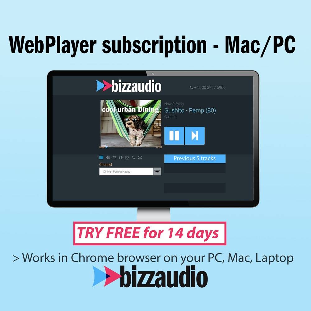 Web-Player (PC/Mac)