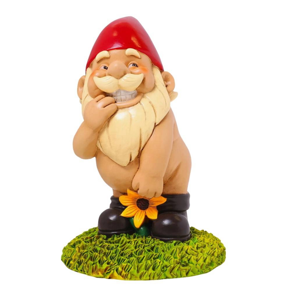 Father's Day Send-A-Gnome