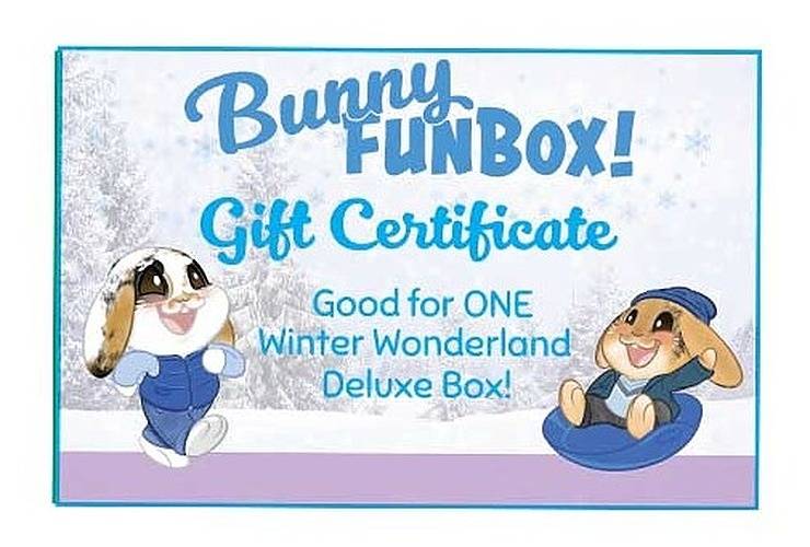 Winter Wonderland Bunny FunBox Online Gift Certificate