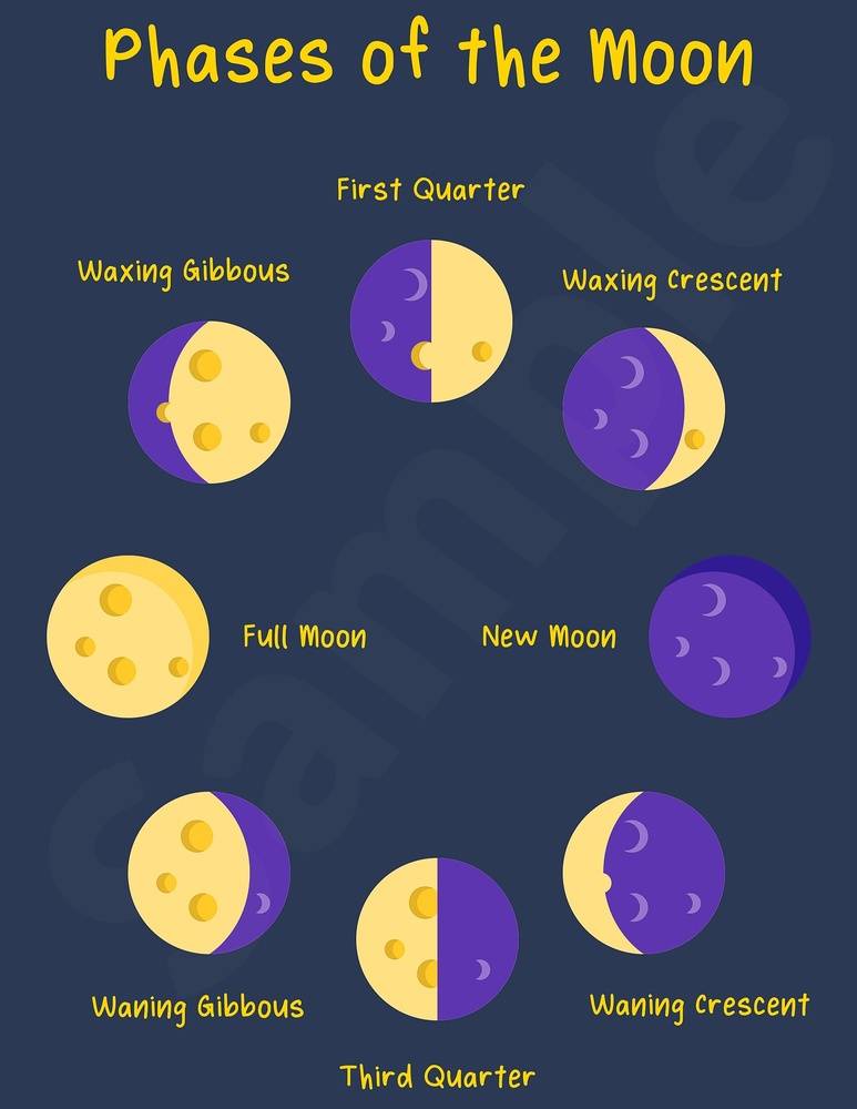 Phases of the Moon Poster